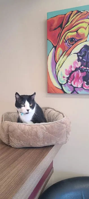 South Des Moines Veterinary Center 5