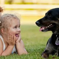 Fleur Pet Hospital ico