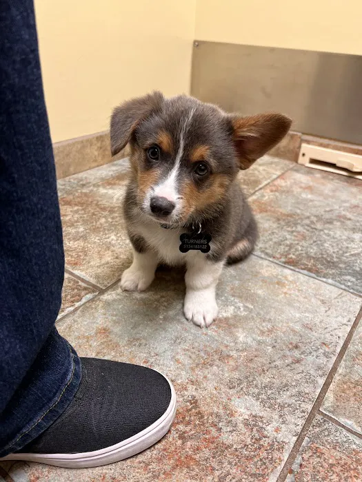 Fleur Pet Hospital 4