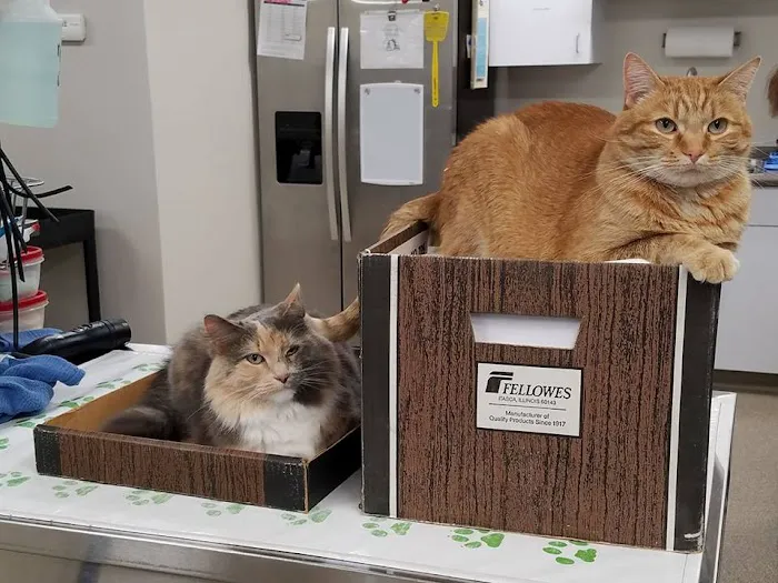Indianola Veterinary Clinic 1