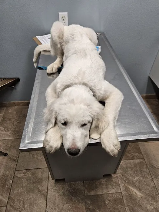 Indianola Veterinary Clinic 2