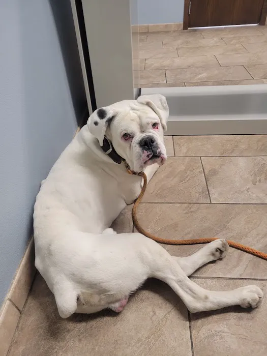 Indianola Veterinary Clinic 3