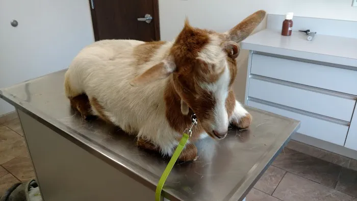 Indianola Veterinary Clinic 9