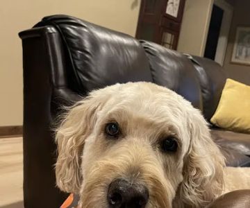 Sullivan Family Pet Hospital