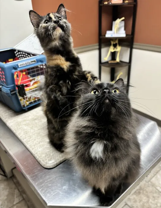 Sullivan Family Pet Hospital 3