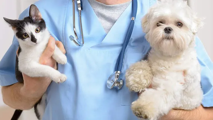 Rush Animal Care Clinic P.C. 1