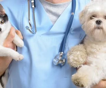 Rush Animal Care Clinic P.C.