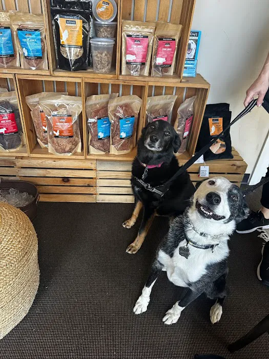 Jeffrey's Natural Pet Foods 16th Street 1