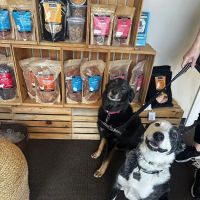 Jeffrey's Natural Pet Foods 16th Street ico