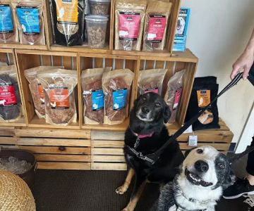 Jeffrey's Natural Pet Foods 16th Street