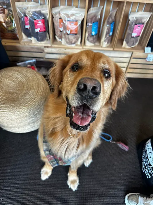 Jeffrey's Natural Pet Foods 16th Street 4