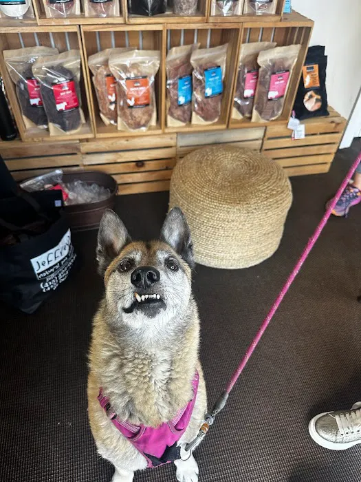Jeffrey's Natural Pet Foods 16th Street 8