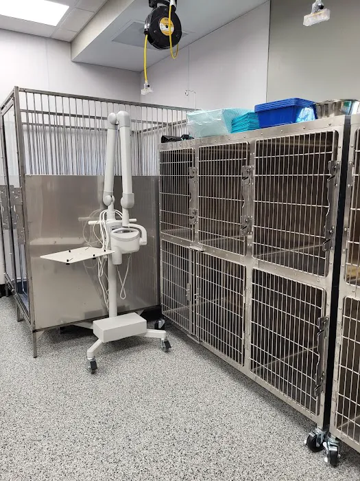 All Seasons Veterinary Care 6