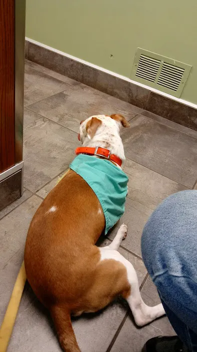 Lisbon Veterinary Clinic Inc 1