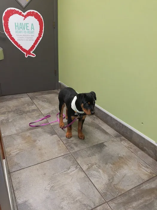 Lisbon Veterinary Clinic Inc 3