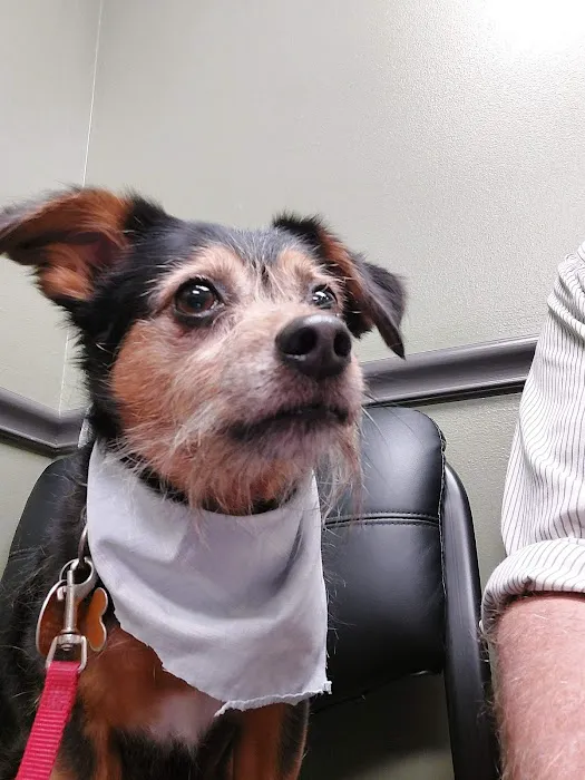 Lisbon Veterinary Clinic Inc 6