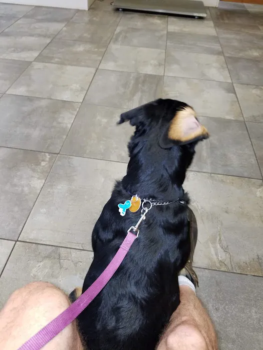 Lisbon Veterinary Clinic Inc 10