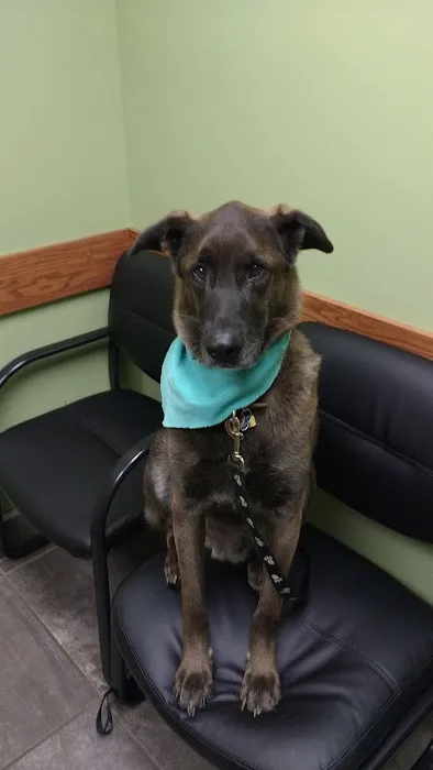 Lisbon Veterinary Clinic Inc 8