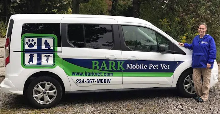 Bark Veterinary Clinic 1