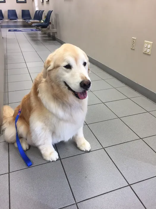 Fairfield Animal Hospital 9