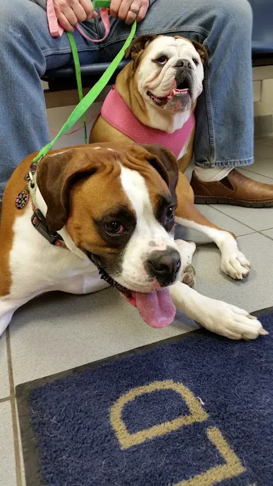 Fairfield Animal Hospital 7