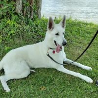 East Park Veterinary Clinic ico