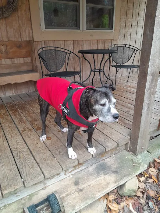 East Park Veterinary Clinic 7