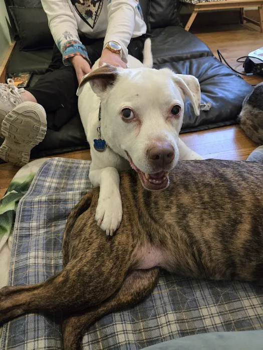 Pawsitive Results Animal Rehabilitation Center 1