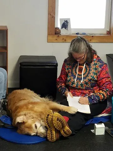 Pawsitive Results Animal Rehabilitation Center 4