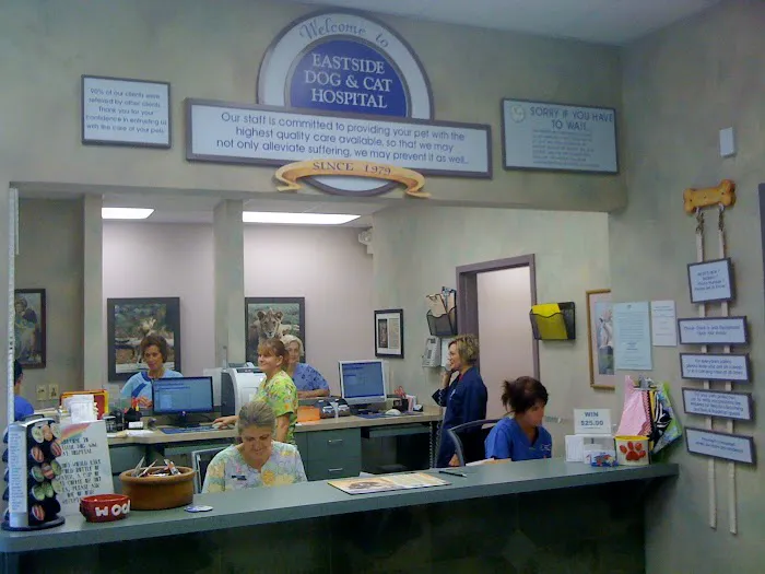 Eastside Dog & Cat Hospital: Dr Elizabeth Anselmo 2