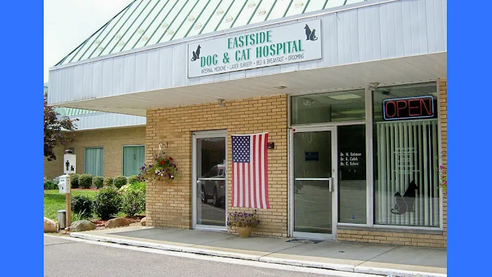 Eastside Dog & Cat Hospital: Dr Elizabeth Anselmo 3