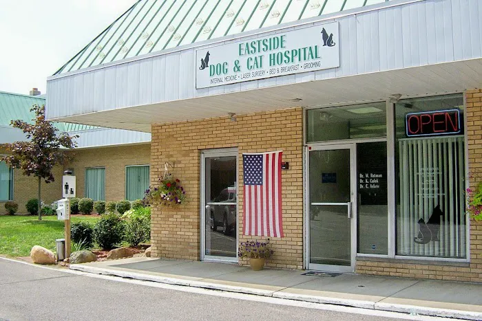 Eastside Dog & Cat Hospital: Dr Elizabeth Anselmo 1