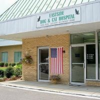 Eastside Dog & Cat Hospital: Dr Elizabeth Anselmo ico