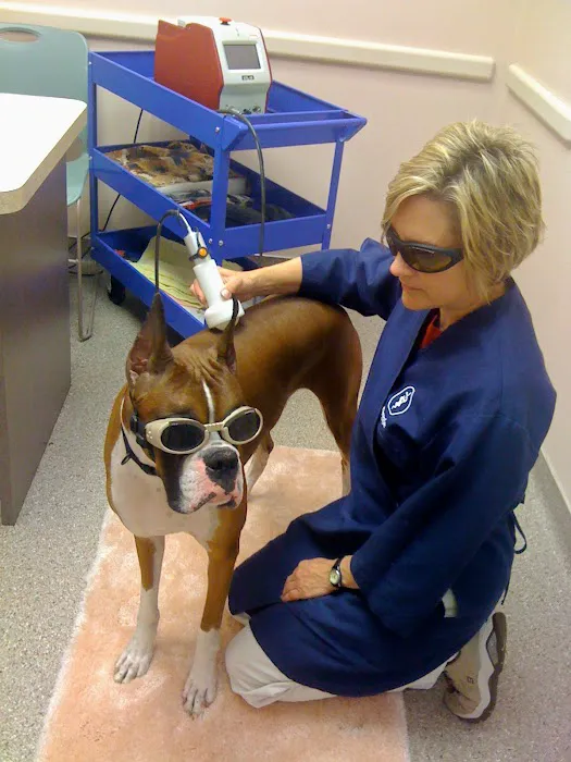Eastside Dog & Cat Hospital: Dr Elizabeth Anselmo 4