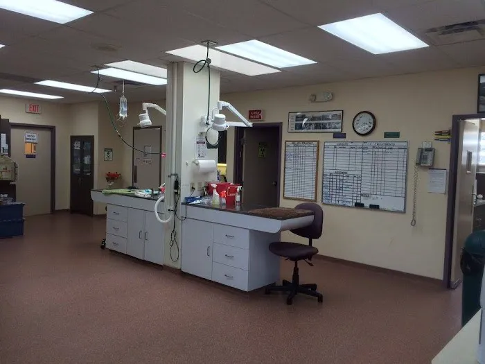 Eastside Dog & Cat Hospital: Dr Mark Rutman 8