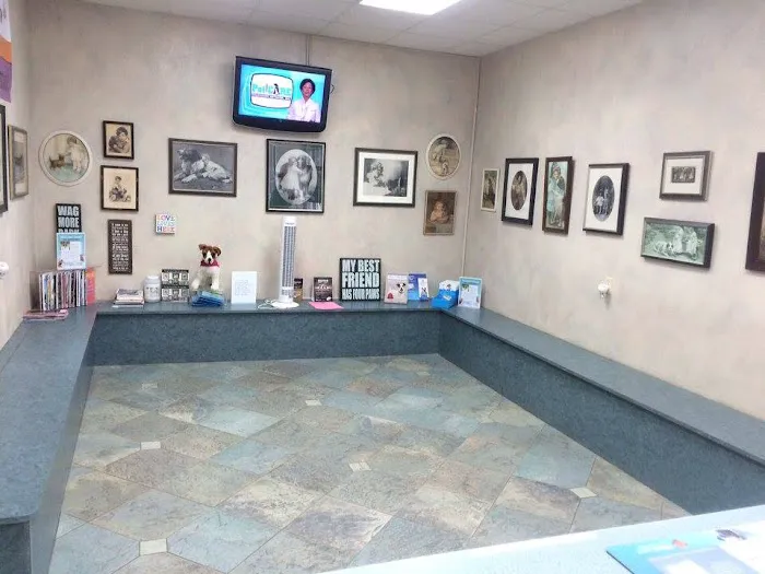 Eastside Dog & Cat Hospital: Dr Mark Rutman 6