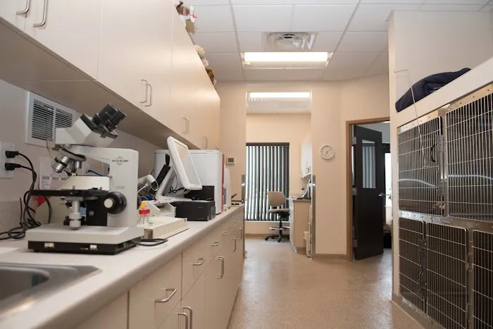 Cricket Ridge Animal Hospital 4