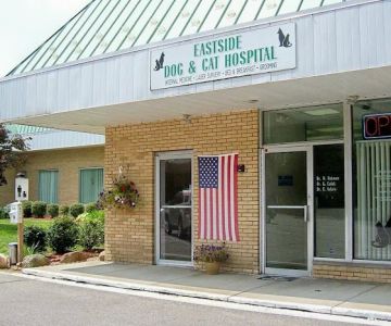 Eastside Dog & Cat Hospital: Dr Kathy Culek