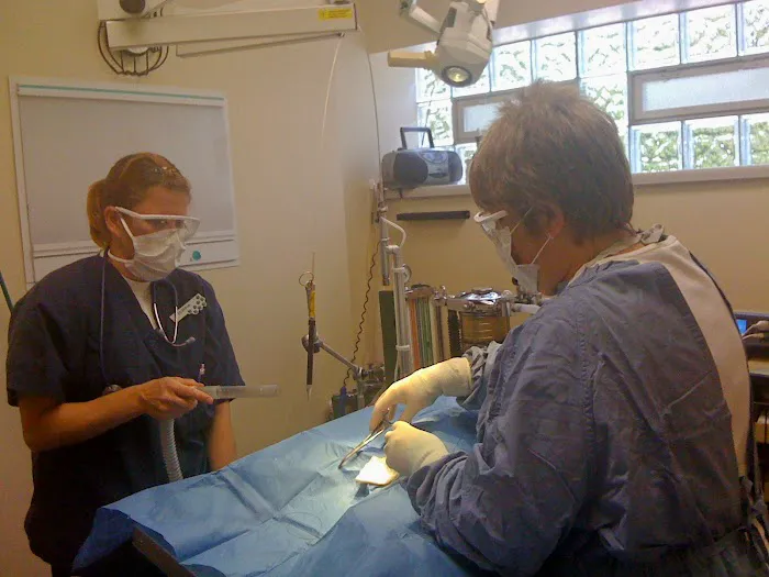 Eastside Dog & Cat Hospital: Dr Kathy Culek 5