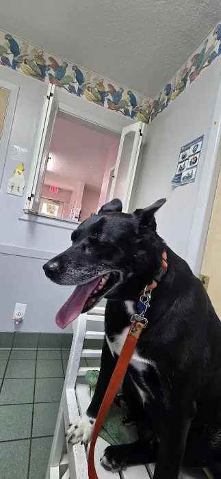 West Geauga Veterinary Hospital 4