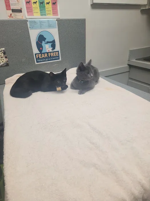 West Geauga Veterinary Hospital 6