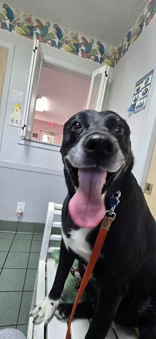 West Geauga Veterinary Hospital 5