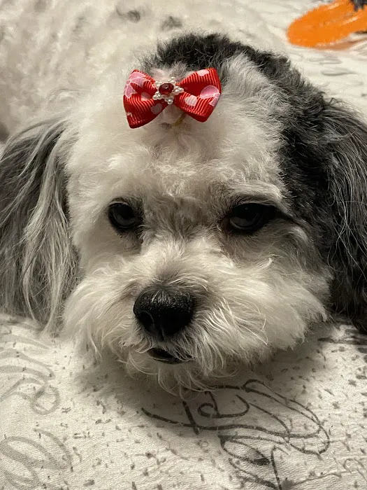 Banfield Pet Hospital 7