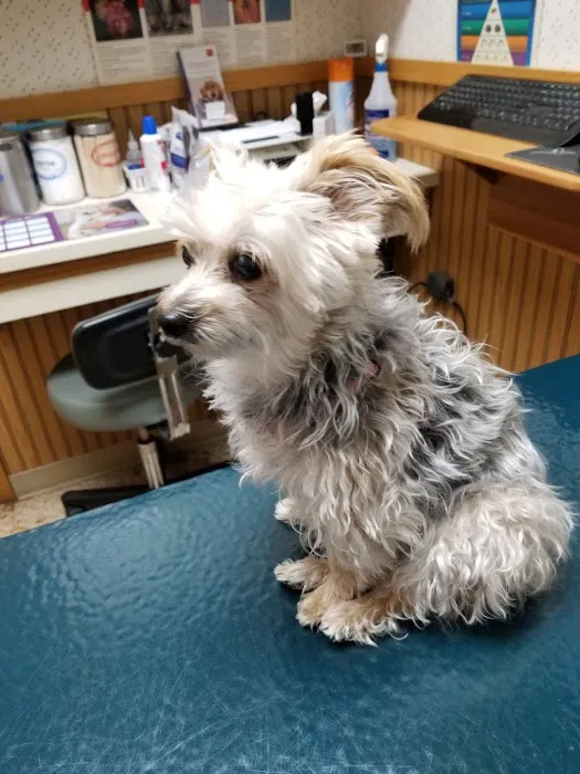 Meadowlands Veterinary Center 3