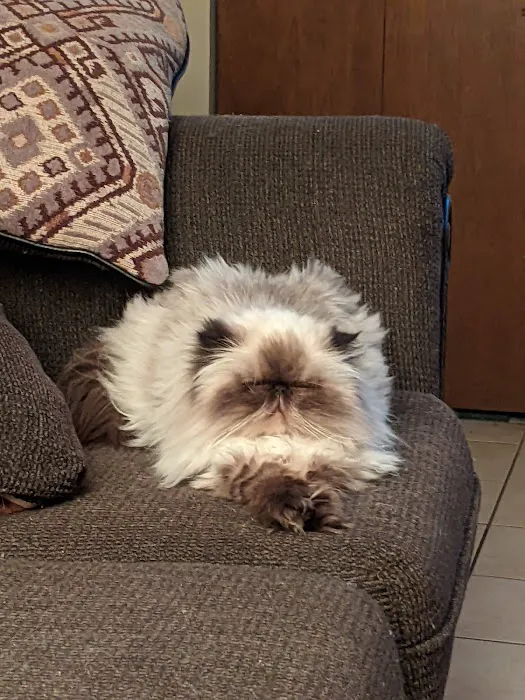 Pet Hospital of Willoughby: Danforth Claudia DVM 2