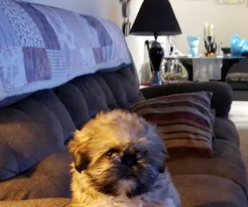 Garrettsville Animal Hospital