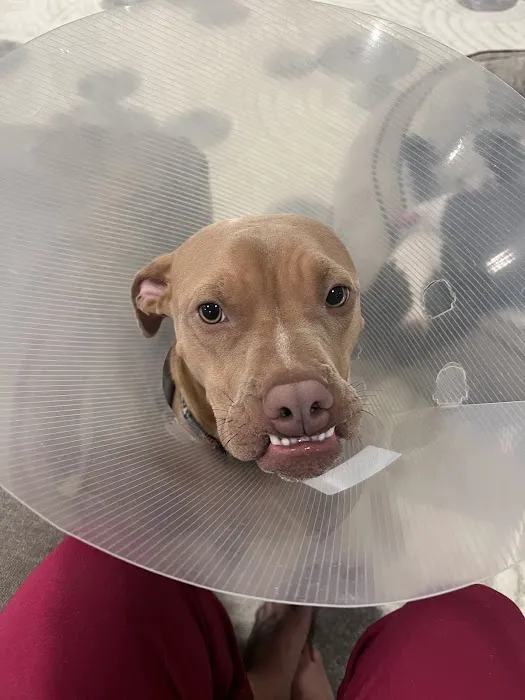 Garrettsville Animal Hospital 6
