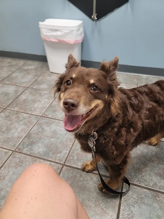 Garrettsville Animal Hospital 5
