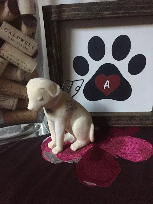 Paws at Home 10