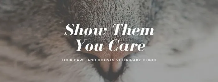 Four Paws Veterinary Clinic 2